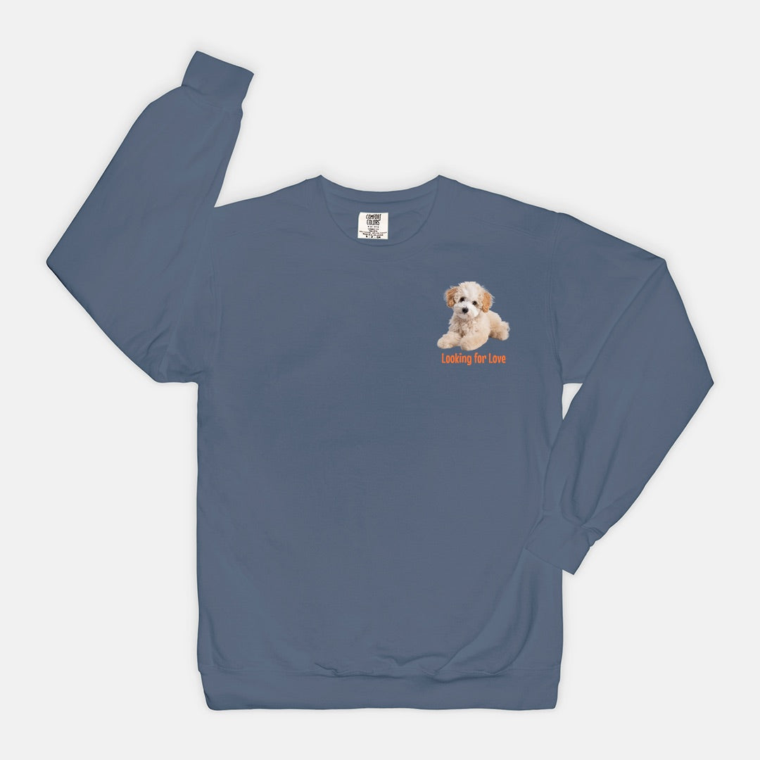 Adoption Dog Comfort Color Crewneck Sweatshirt (5+available colors)
