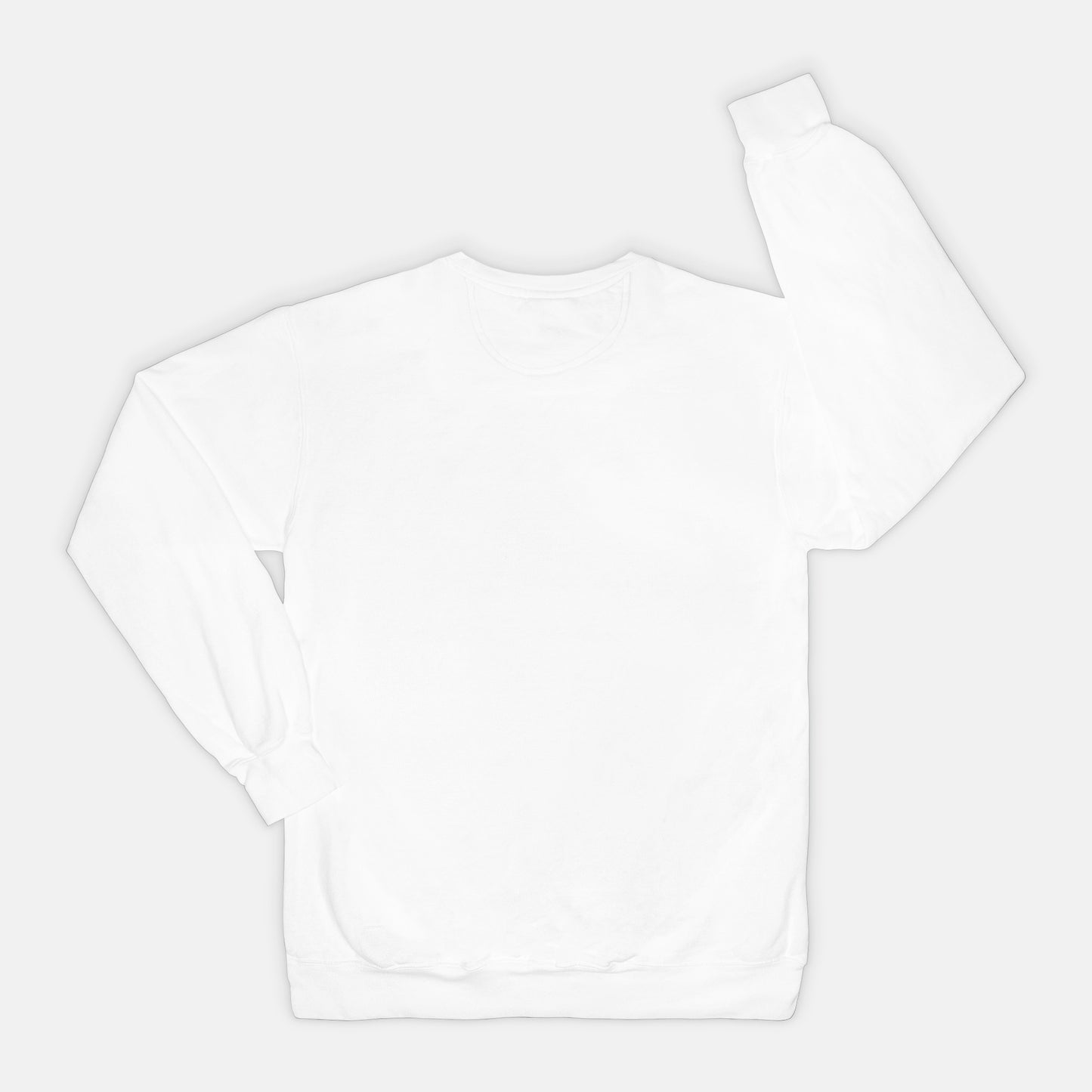 Adoption Dog Comfort Color Crewneck Sweatshirt (5+available colors)
