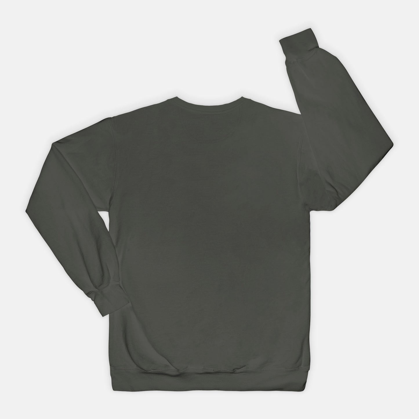 Adoption Dog Comfort Color Crewneck Sweatshirt (5+available colors)