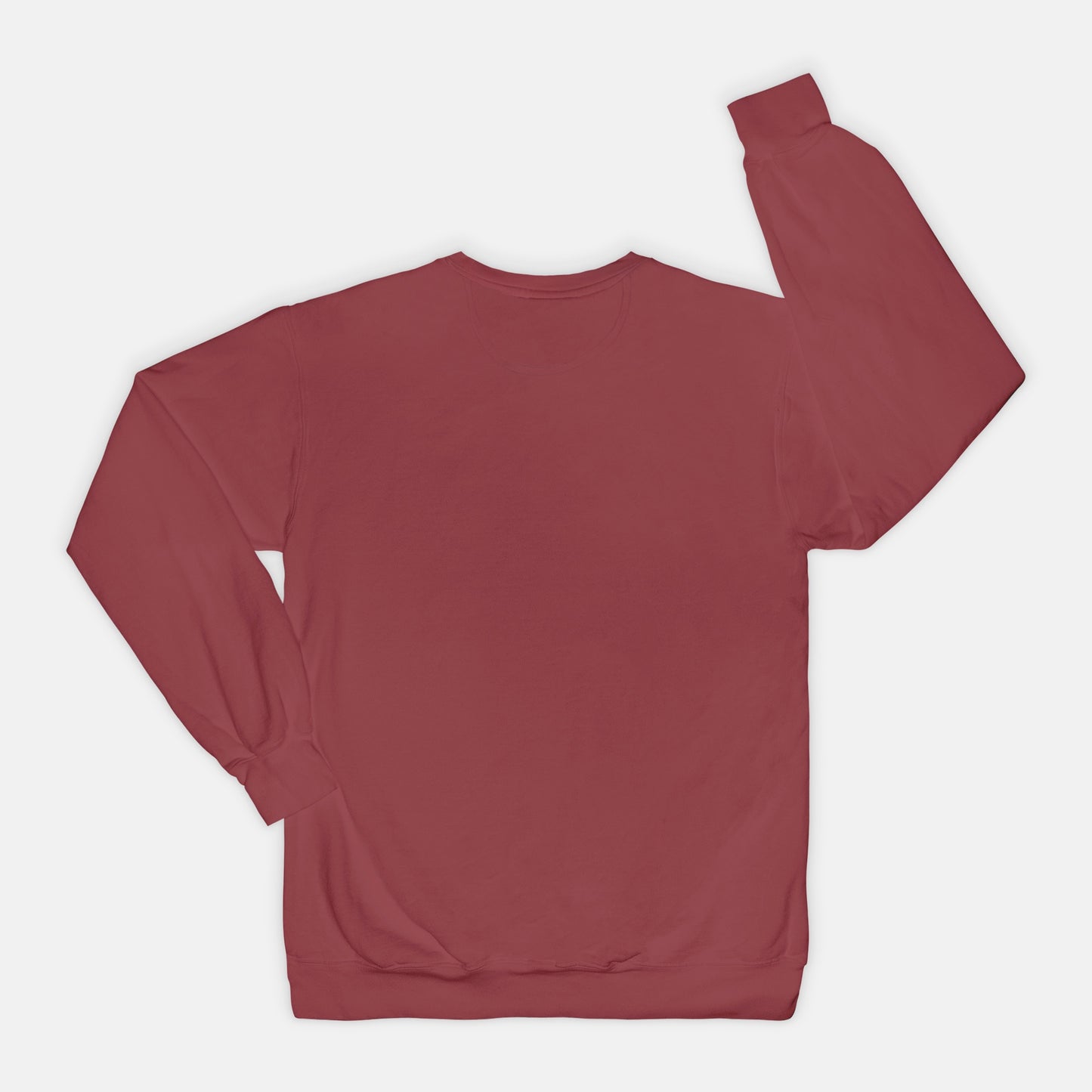 Adoption Dog Comfort Color Crewneck Sweatshirt (5+available colors)