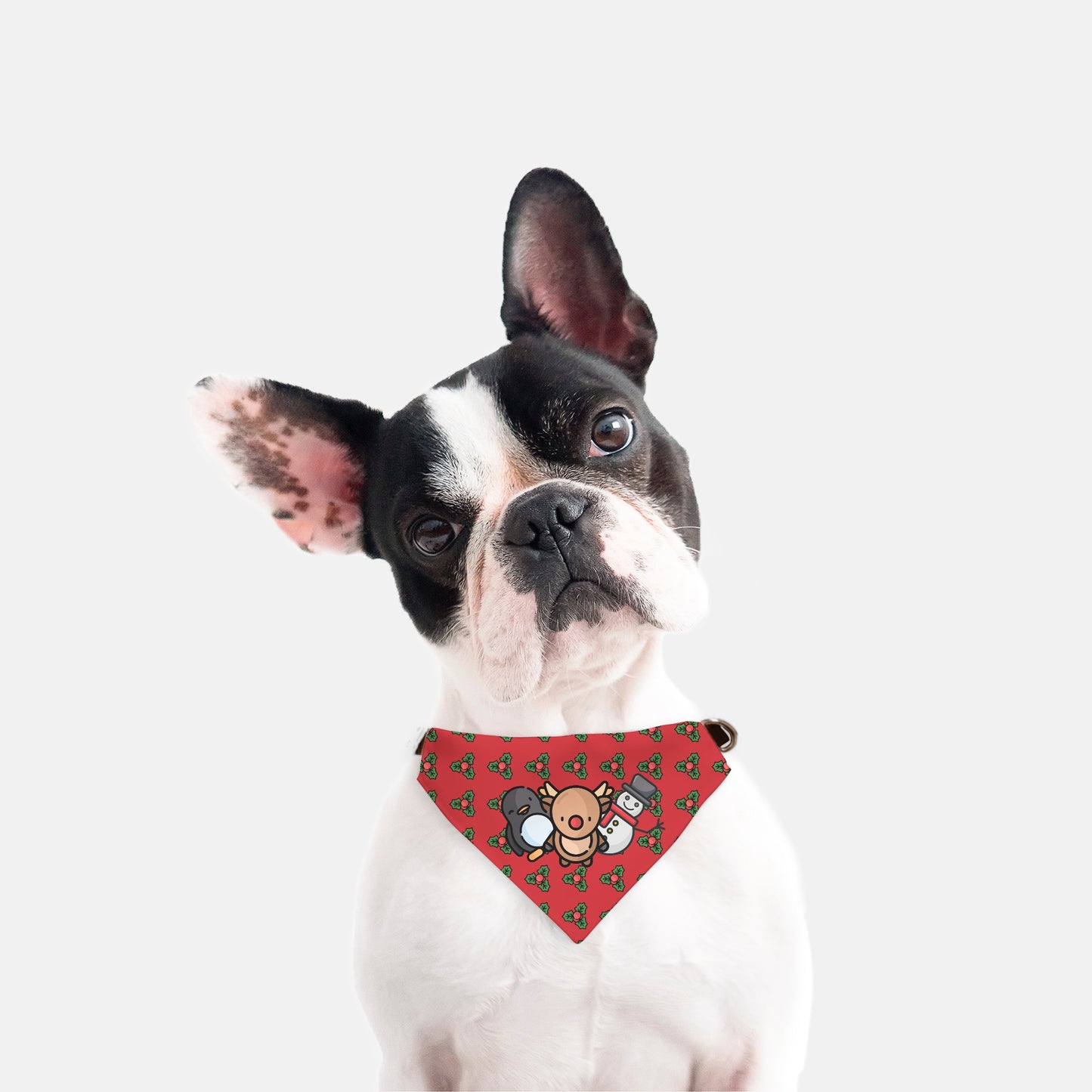 Reindeer and Co. Collar Pet Bandana (Sm & Med)