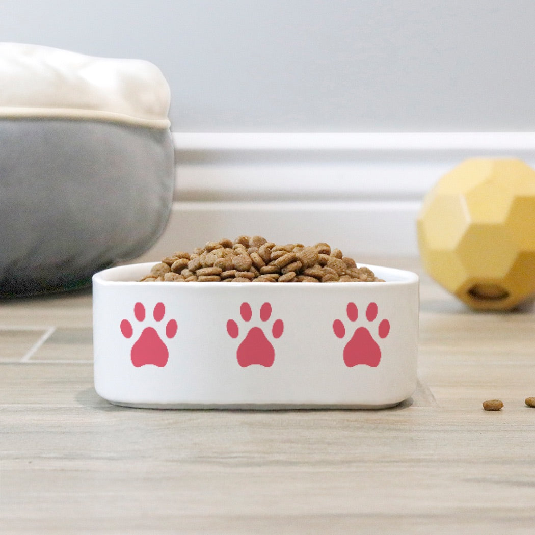 Fido Dish