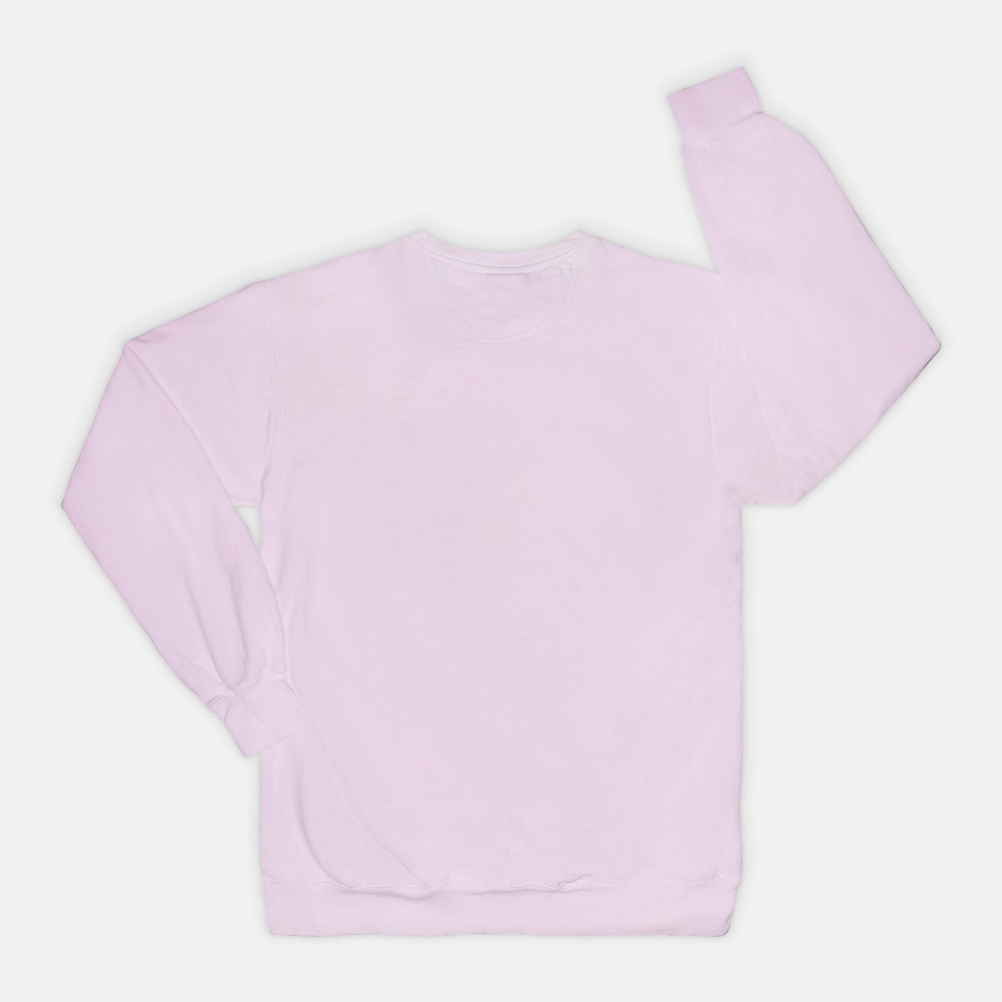 Adoption Dog Comfort Color Crewneck Sweatshirt (5+available colors)