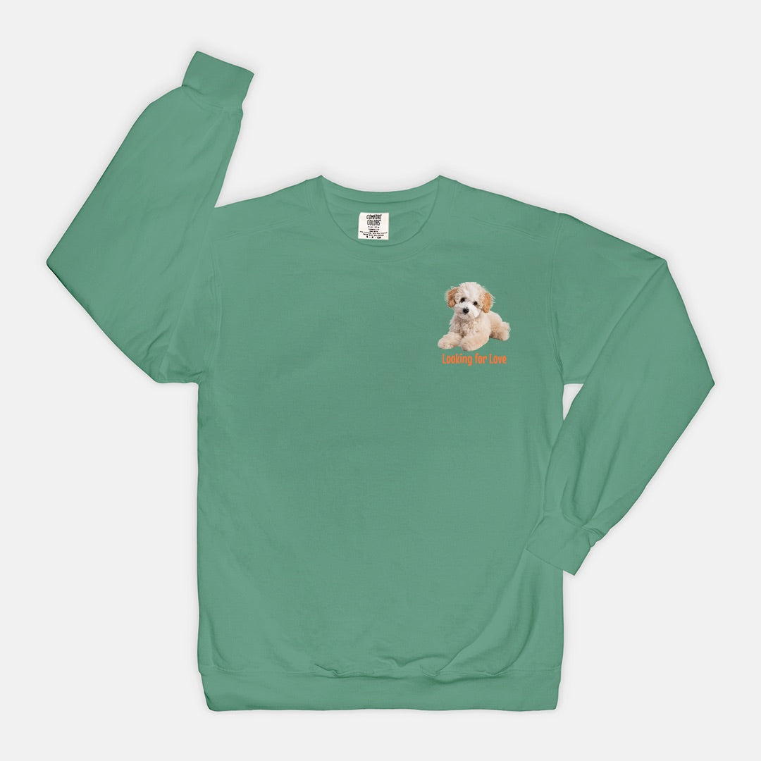 Adoption Dog Comfort Color Crewneck Sweatshirt (5+available colors)