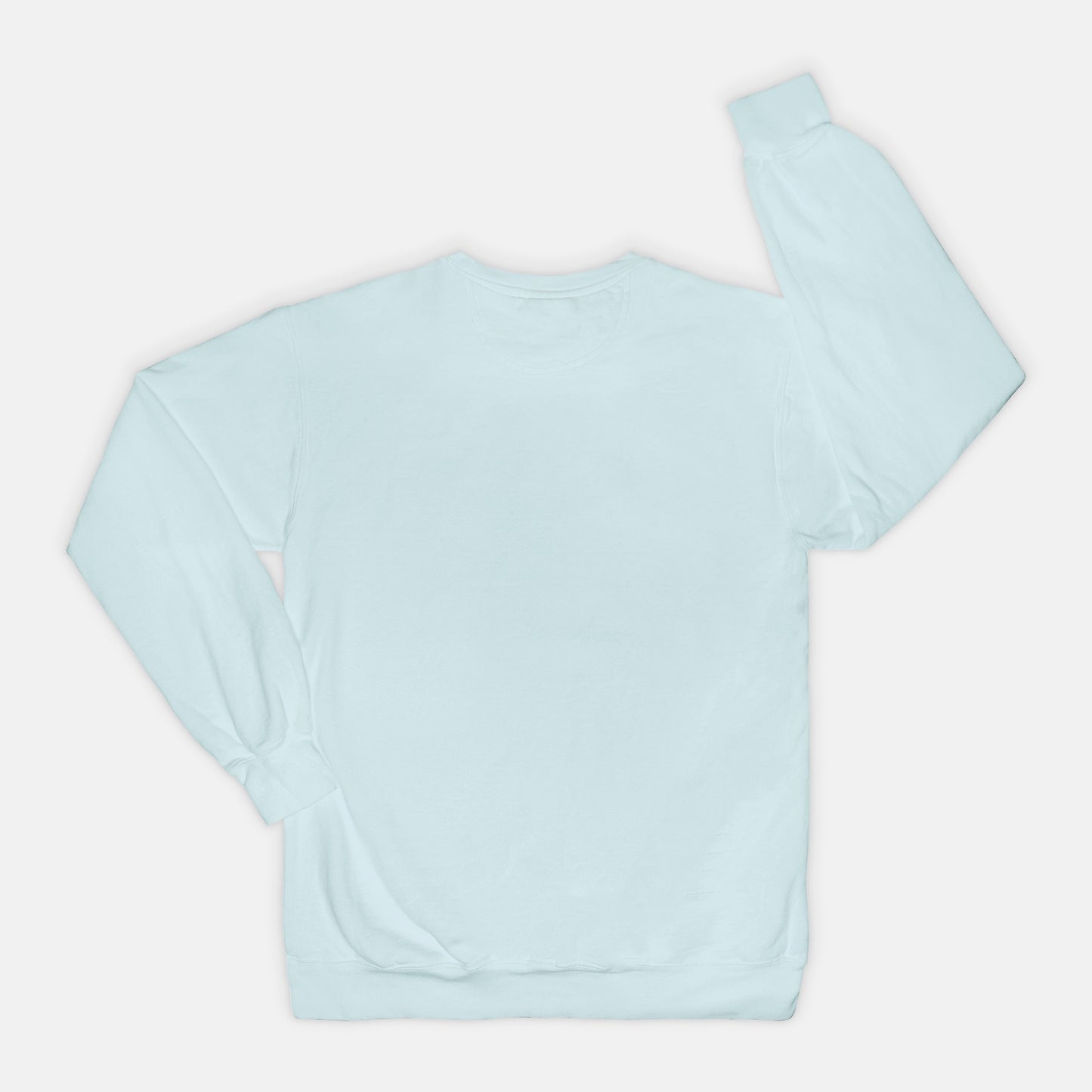 Adoption Dog Comfort Color Crewneck Sweatshirt (5+available colors)