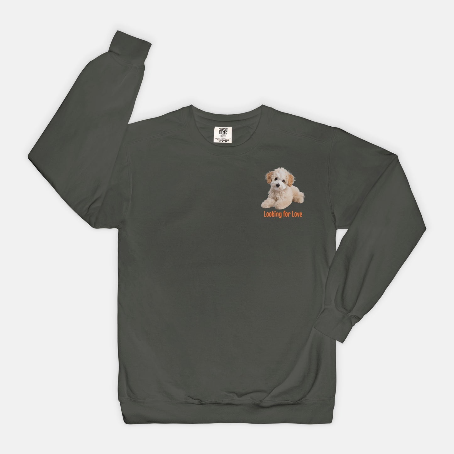 Adoption Dog Comfort Color Crewneck Sweatshirt (5+available colors)